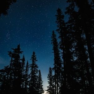 Meet your Posher, Jeffrey